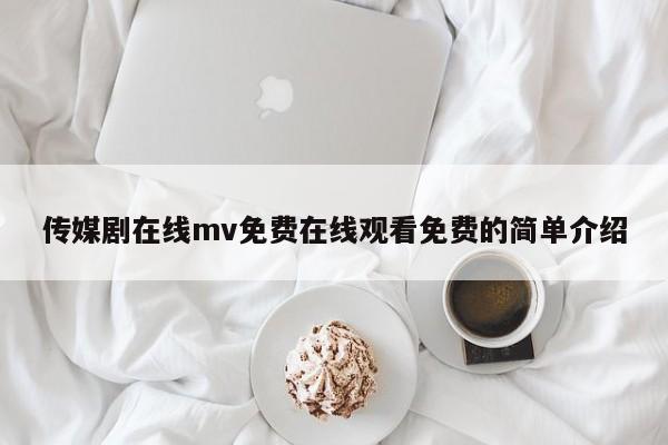 传媒剧在线mv免费在线观看免费的简单介绍