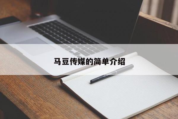 马豆传媒的简单介绍