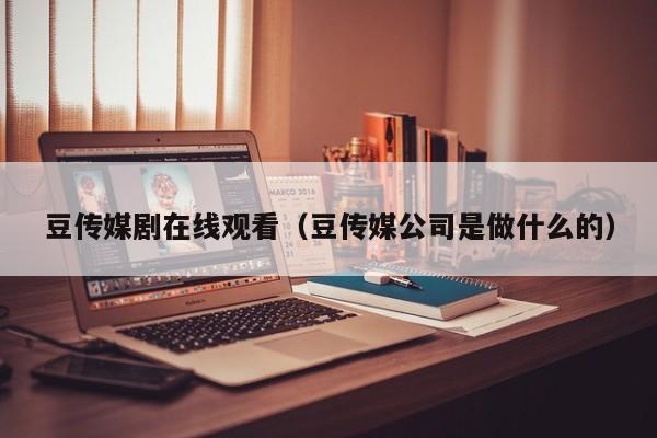 豆传媒剧在线观看(豆传媒公司是做什么的)