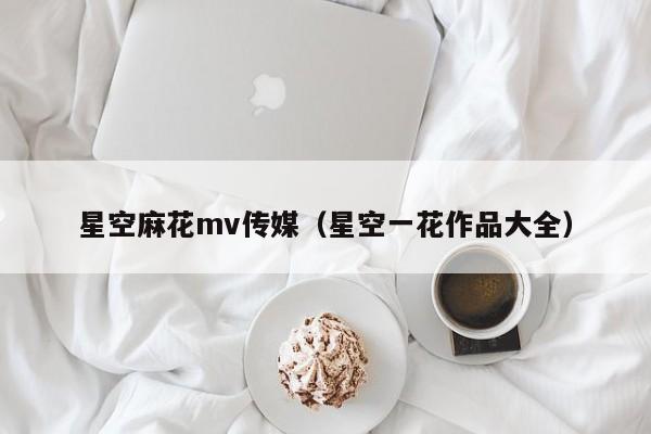 星空麻花mv传媒(星空一花作品大全)