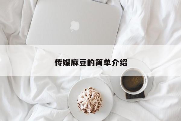 传媒麻豆的简单介绍